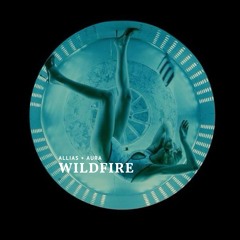 Wildfire - SBTRKT (Edit)