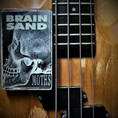 The Sun Has Gone For A Milkshake