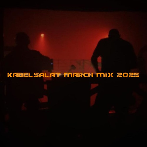 KABELSALAT - FLOW STATE LIVE TECHNO MIX MARCH 2025