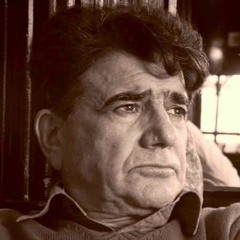 محمدرضا شجریان _ بی تو بسر نمی‌شود