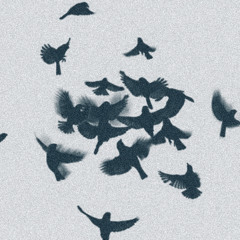 Slaughter As The Birds Sing Prod.Xiveternity