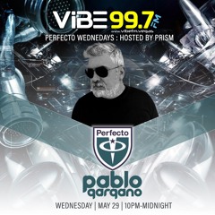 Pablo Gargano - Perfecto Set (Vibe 99.7 FM)