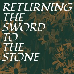 The Truth About Wizards