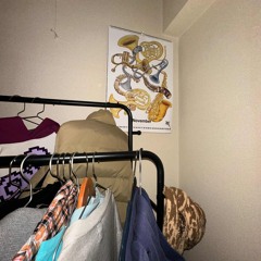 Matatakumoney@hopexl