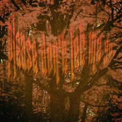 Please Don't Let Me Go