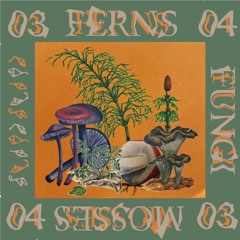 Ferns, Fungi and Mosses 03&4