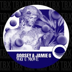 PREMIERE: Goosey & Jamie G - The Streets [Paradise Music]