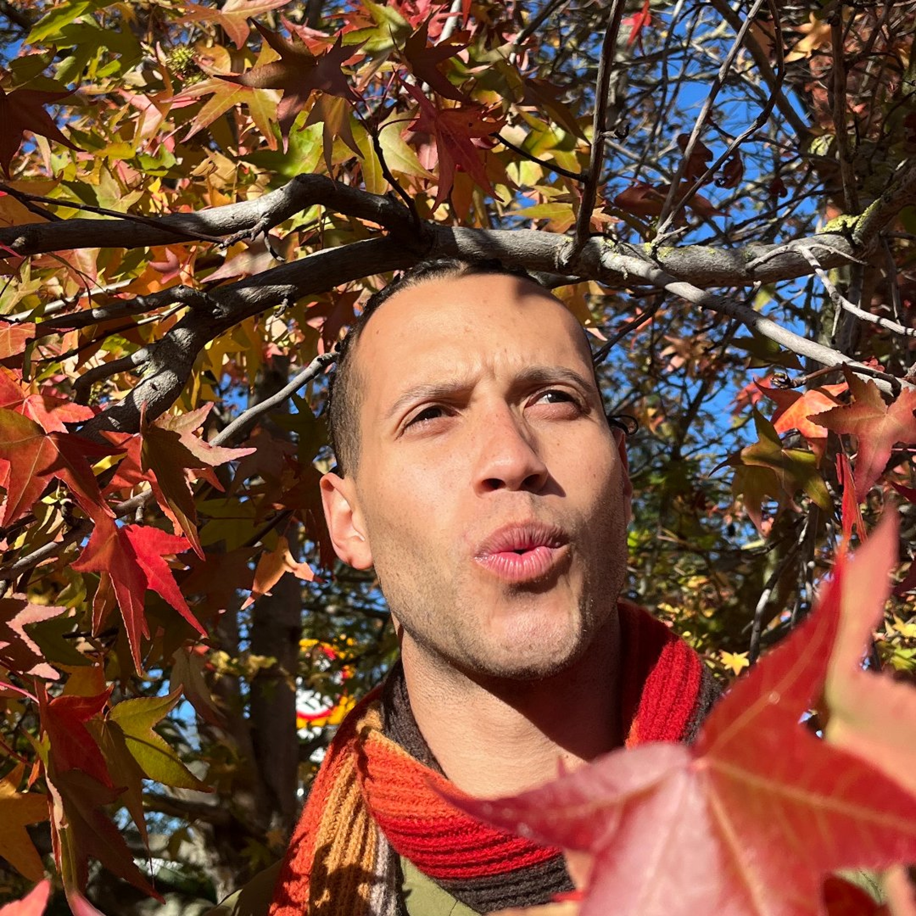 Spatial Sounds w/ Solomon C [Autumn Special] - 17/10/26 - [Voices Radio]