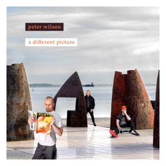 Peter Wilson - Out of My Mind