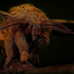 Dystopia - Backstabber (vocal cover)