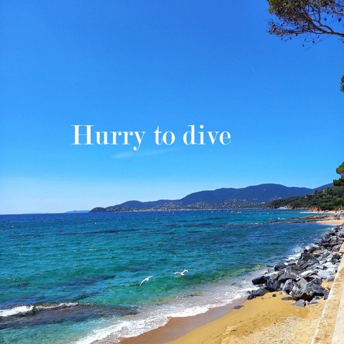 Hurry To Dive