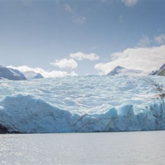 Best Glaciers And Wildlife Super Scenic Day Tour From Anchorage Tours Review