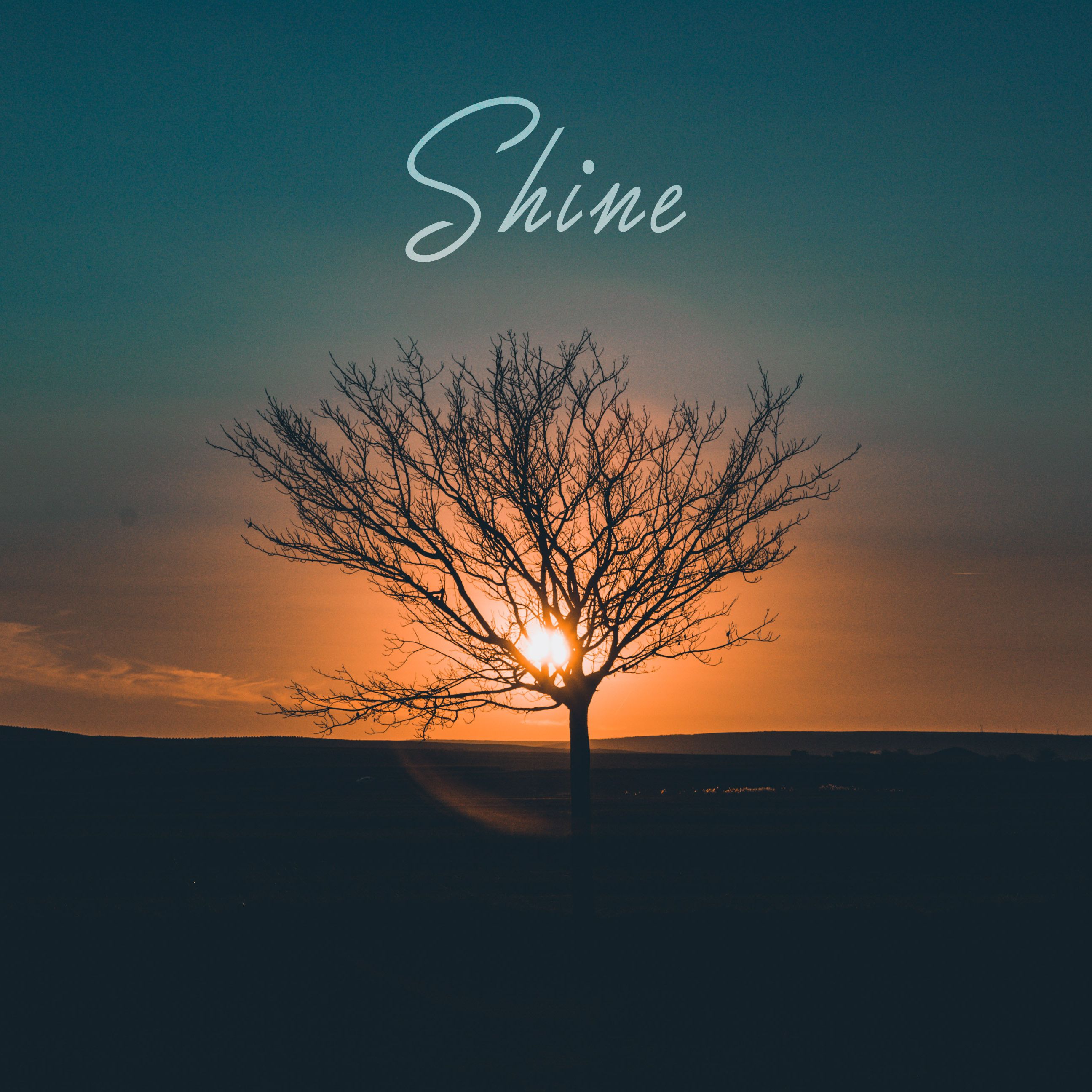 Shine