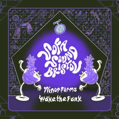 Minor Forms - Wake The Funk