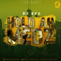 TEAM BIGGS PRESENTS  DJ EFX HOLD AH MEDZ MIXTAPE