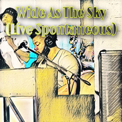 Wide As The Sky