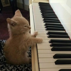 House Of The Rising Sun