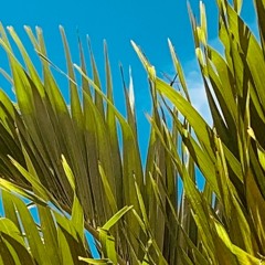 uknoMunroe iFeelLike