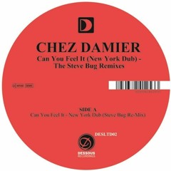 Chez Damier Can You Feel It New York Dub Zippy