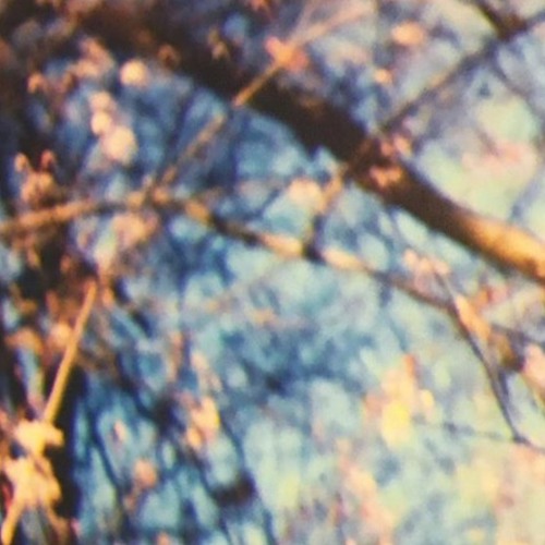 (*^^)/｡･:*:･ﾟ'★,｡･:*:･ﾟ'☆ Congratulations!!