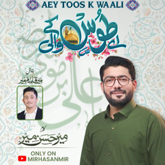 Aey Toos K Wa'ali  --  Mir Hasan Mir  --  Manqabat  --  2025