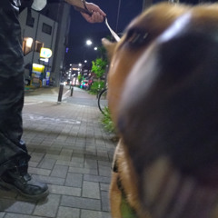 池袋夜西口20240623