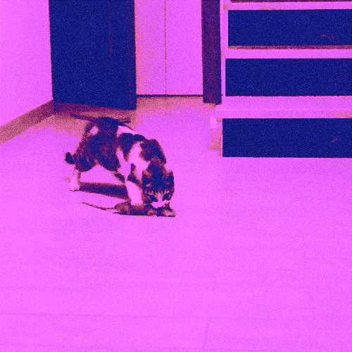 DEMO