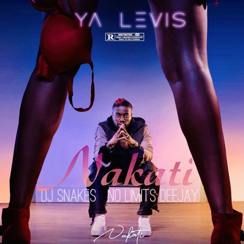 NAKATI RMX | DJ SNAKES X NO LIMITS DEEJAY♀