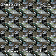 lost memory w/ weepingwillowtree - Jun 17th 2022