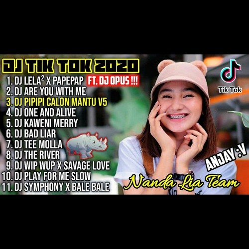 DJ TIK TOK TERBARU 2020 DJ PIPIPI CALON MANTU FULL ALBUM REMIX 2020 FULL BASS VI