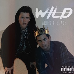 Aries - Wild (feat Slade)
