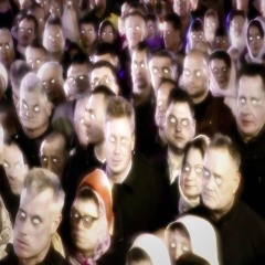 My plate [p. Flower x Luffy]