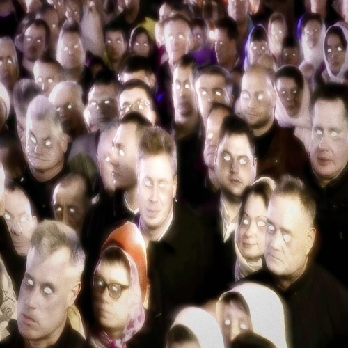 My plate [p. Flower x Luffy]