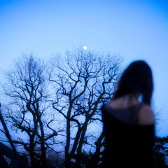 Schulz Audio - Waning Moon (Spclnch)
