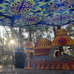 Harry Blotter - Forest Psy DJ Set @ Chakra Gathering Solar Plexus [Nov 2024]