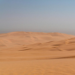 The Ballad of Shady Sands