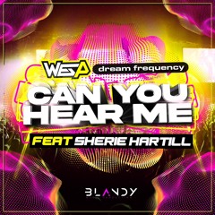 WES P - DREAM FREQUENCY - FEAT SHERIE HARTILL - CAN YOU HEAR ME