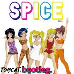 SPICEGIRL (tomcat.bootleg)