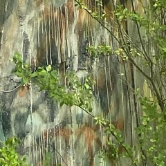 Die (Unreleased) - Yvng Savage (ft Dabfather)