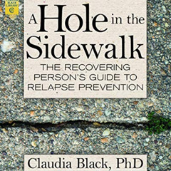Access EPUB 💕 A Hole in the Sidewalk: The Recovering Person's Guide to Relapse Preve