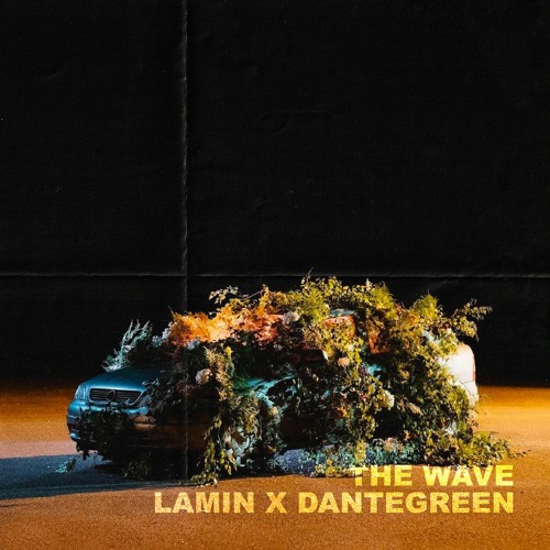 Lamin - The Wave [DanteGreen Edit]