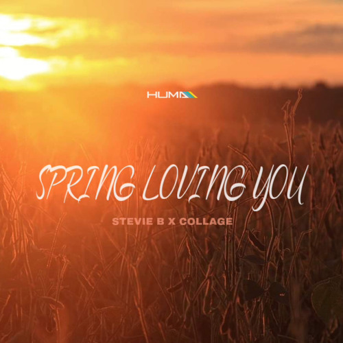 Stevie B X Collage - Spring Loving You (Huma Remix)