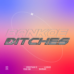 Bankoe Bitches (feat. $hirak)