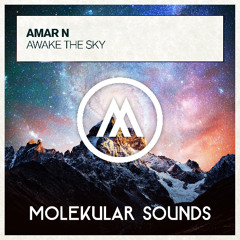 Amar N - Awake The Sky