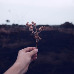 Helan | Original Mix