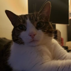 Predasus - Mega Monkey (Original Mix)