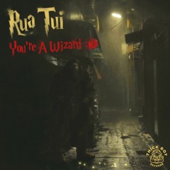 Rua Tui - You're A Wizard