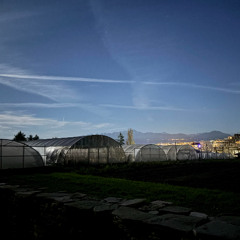 YOU DON'T WANT TO LEAVE BUT YOU'RE TOO SAD TO STAY