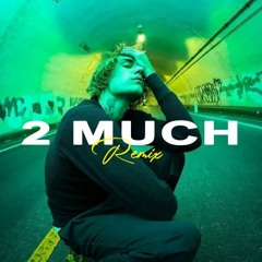 Justin Bieber - 2 Much (Conor Morin Remix)