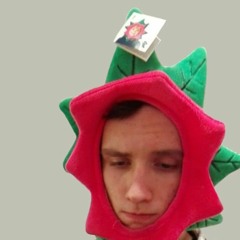 The Man Who Loved Beer (Lambchop cover)